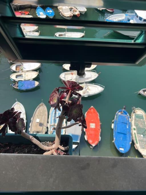 Attico Sul Porticciolo Antico Di Camogli Apartman Kültér fotó