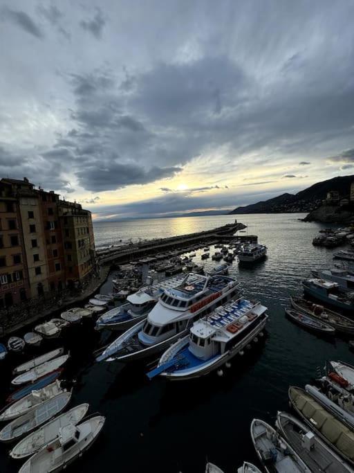 Attico Sul Porticciolo Antico Di Camogli Apartman Kültér fotó