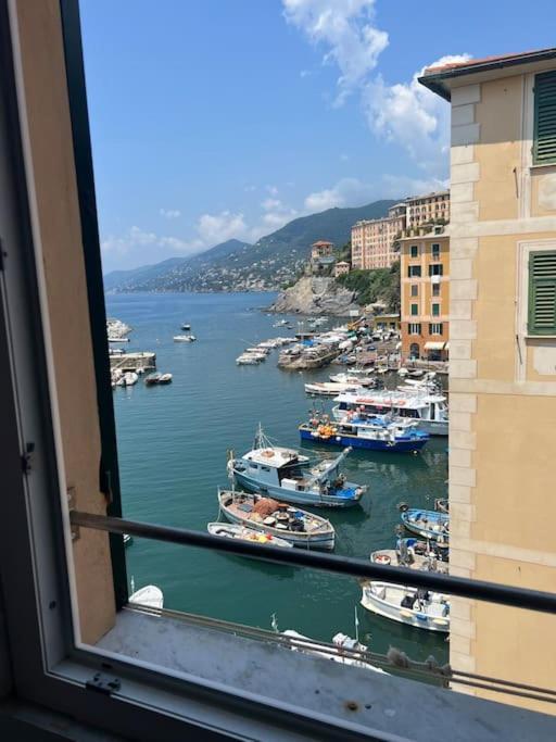 Attico Sul Porticciolo Antico Di Camogli Apartman Kültér fotó